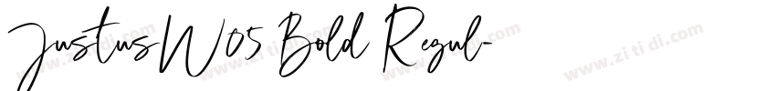 JustusW05 Bold Regul字体转换
